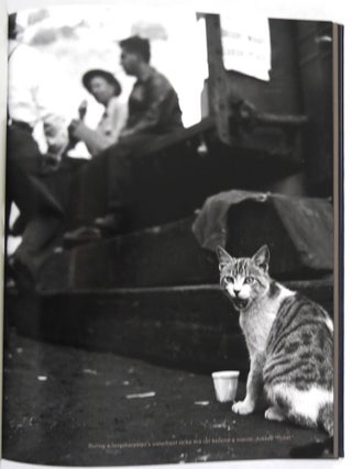 San Francisco Noir
