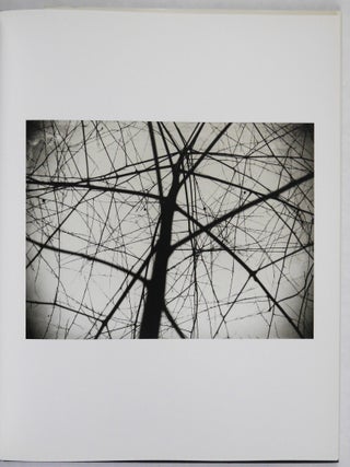 Ellsworth Kelly, Photographs