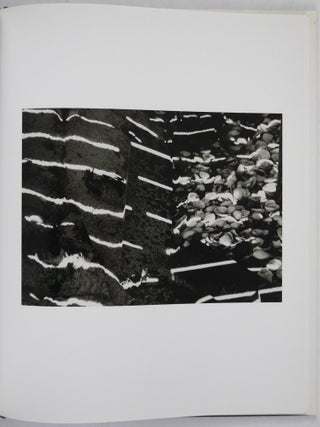 Ellsworth Kelly, Photographs