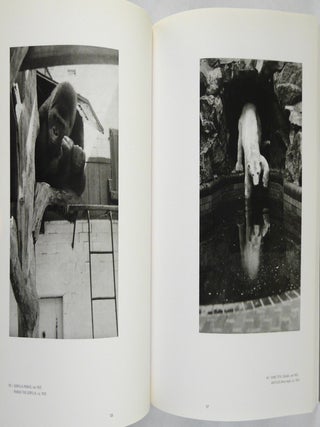 Friedrich Seidenstücker. Hippos and other Humunas. Photographs 1925-1958 (Weimar Germany).