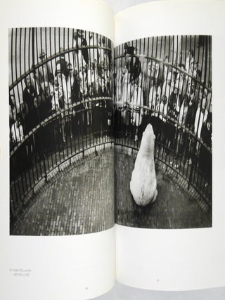 Friedrich Seidenstücker. Hippos and other Humunas. Photographs 1925-1958 (Weimar Germany).