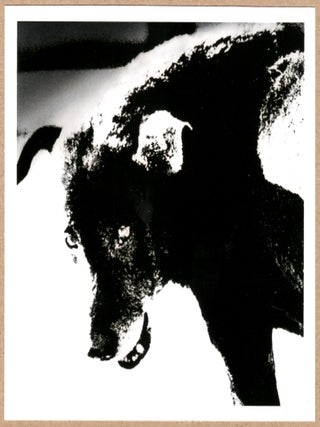 Item #11307 SIGNED - DAIDO MORIYAMA - Misawa, Aomori, Japan 1991 LTD 6" x 6" MAGNUM PRINT. Daido...