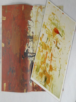 Shinro Ohtake : On Paper [SIGNED - 2005 1ST EDITION - FINE]