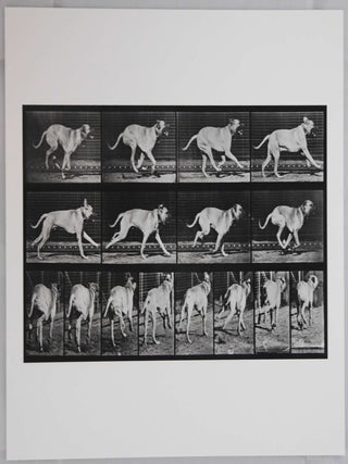 Item #1692 Animal Locomotion, Plate 707 (Dog) [8 x 10 INCH LIMITED EDITION #/50 ARCHIVAL PIGMENT...