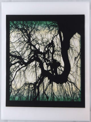 Item #1694 Structure of Thought 30 - 8 x 10 LIMITED EDITION ARCHIVAL PRINT 1/100 with COA (SIGNED...
