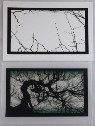 Structure of Thought 30 - 8 x 10 LIMITED EDITION ARCHIVAL PRINT 1/100 with COA (SIGNED by MIKE & DOUG STARN)