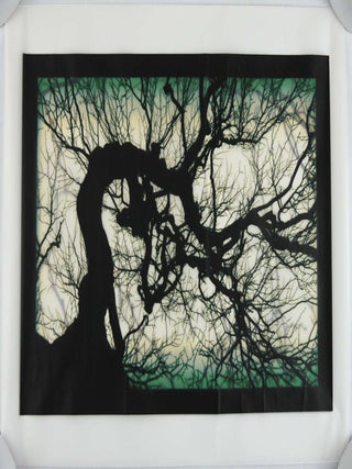 Item #1696 Structure of Thought 30 - 16 x 20 LIMITED EDITION ARCHIVAL PRINT 1/25 with COA (SIGNED...