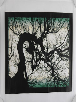 Structure of Thought 30 - 16 x 20 LIMITED EDITION ARCHIVAL PRINT 1/25 with COA (SIGNED by MIKE & DOUG STARN)