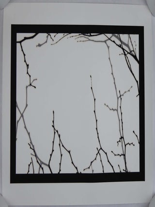 Structure of Thought 30 - 16 x 20 LIMITED EDITION ARCHIVAL PRINT 1/25 with COA (SIGNED by MIKE & DOUG STARN)