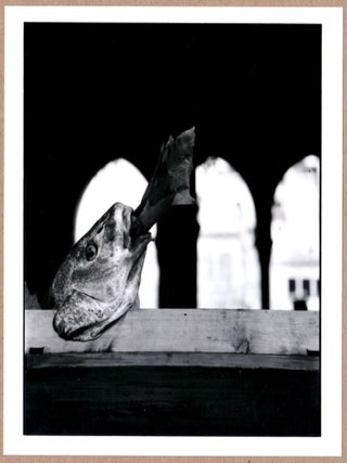 Item #1777 SIGNED - ELLIOTT ERWITT - A FISH SMOKING A CIGAR, VENICE, ITALY - LTD 6" x 6" MAGNUM...