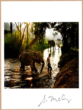 Item #2145 SIGNED - STEVE MCCURRY ELEPHANTS IN THAILAND LTD 6" x 6" MAGNUM ARCHIVAL PRINT. Steve...