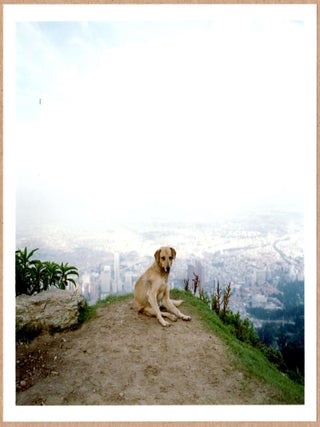 Item #2154 SIGNED - ALEC SOTH - DOG DAYS BOGOTA COVER IMAGE - COLOMBIA, 2003 - LTD 6" x 6" MAGNUM...