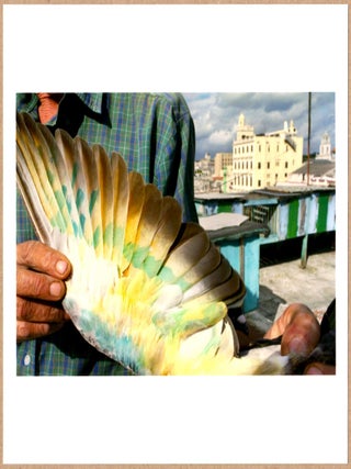 Item #3789 SIGNED - REBECCA NORRIS WEBB - HAVANA, VELVET ISLE COVER IMAGE - LTD 6" x 6" MAGNUM...
