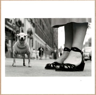 Item #3798 STAMP SIGNED - ELLIOTT ERWITT DOGS CHIHUAHUA NEW YORK CITY 6" x 6" MAGNUM PRINT....