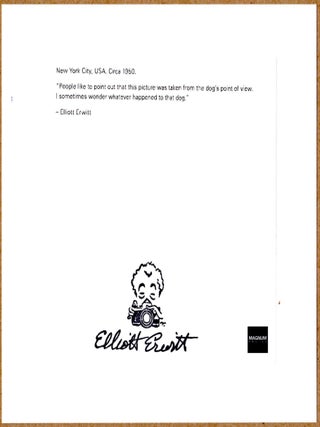 STAMP SIGNED - ELLIOTT ERWITT DOGS CHIHUAHUA NEW YORK CITY 6" x 6" MAGNUM PRINT