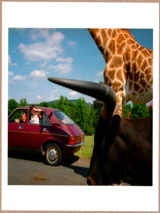 Item #3913 SIGNED - MARTIN PARR - KNOWSLEY SAFARI PARK, ENGLAND 1990 6" x 6" MAGNUM PRINT. Martin...