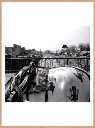 Item #4084 SIGNED - LARRY TOWELL - HORSE - RARE 2014 LTD 6" x 6" MAGNUM ARCHIVAL PRINT. Larry Towell