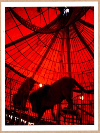 Item #4179 SIGNED - MIGUEL RIO BRANCO LION LIONESS RIO JANEIRO CIRCUS 6" x 6" MAGNUM PRINT....