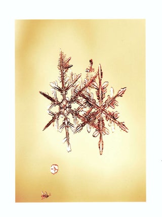 Item #4622 SNOWFLAKE PRINT [SIGNED ALLEVERYTHINGTHATISYOU SNO7.1_003 8 x 8 INCH LIMITED EDITION...