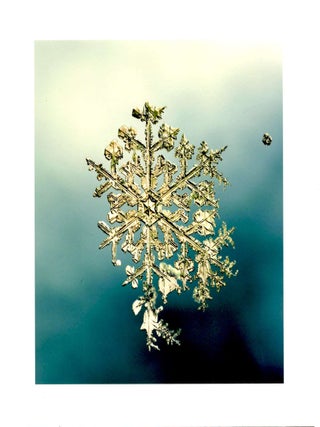 Item #4625 SNOWFLAKE PRINT [SIGNED ALLEVERYTHINGTHATISYOU SNO7_057 8 x 8 INCH LIMITED EDITION...
