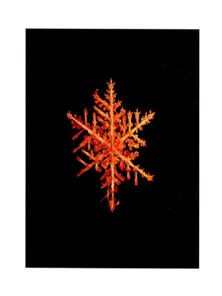 Item #4626 SNOWFLAKE PRINT [SIGNED ALLEVERYTHINGTHATISYOU SNO8_242.1 8 x 8 INCH LIMITED EDITION...