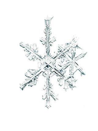 Item #4627 SNOWFLAKE PRINT [SIGNED ALLEVERYTHINGTHATISYOU SNO6_005.1 8 x 8 INCH LIMITED EDITION...