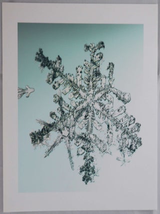 Item #4628 SNOWFLAKE PRINT [SIGNED ALLEVERYTHINGTHATISYOU SNO6_034.1 8 x 8 INCH LIMITED EDITION...