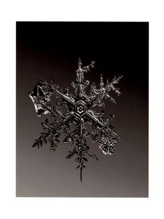 Item #4640 SNOWFLAKE PRINT [SIGNED ALLEVERYTHINGTHATISYOU SNO7_077 8 x 8 INCH LIMITED EDITION...