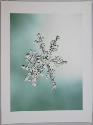 Item #4772 SNOWFLAKE PRINT [SIGNED ALLEVERYTHINGTHATISYOU SNO6_005 8 x 8 INCH LIMITED EDITION...