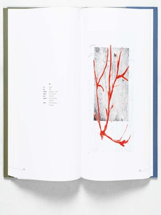 Paladino Graphic Work 1974-2001
